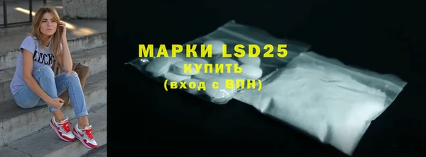 шишки Беломорск
