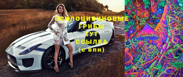 МДПВ Белокуриха