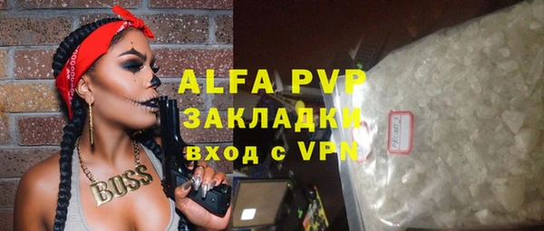 шишки Беломорск