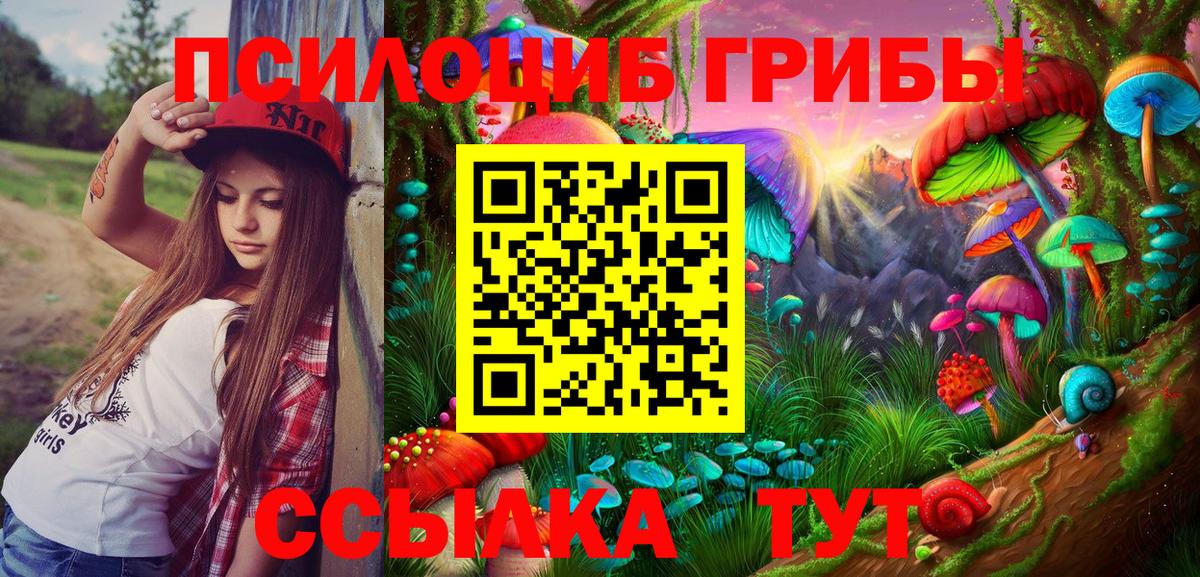 даркнет сайт  Псилоцибиновые грибы мухоморы  Вход с VPN  Пыть-Ях 
